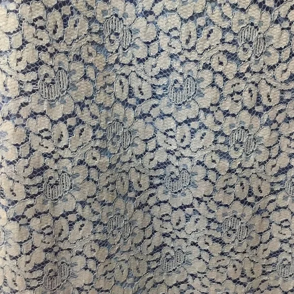 Banana Republic Sky Blue Lace Dress - Picture 4 of 5